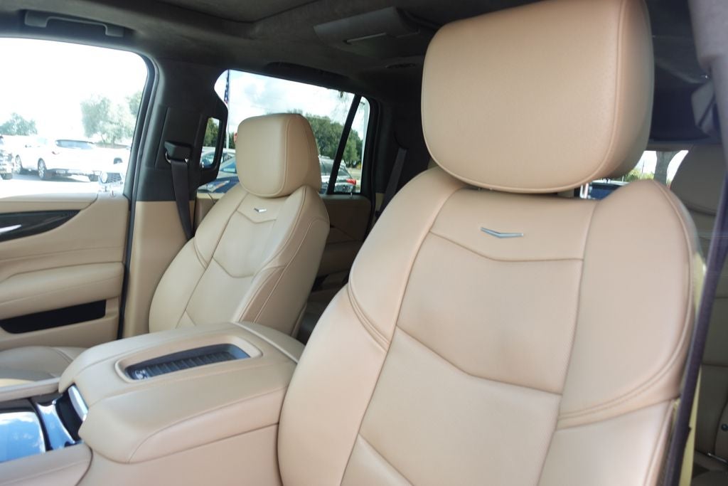 2019 Cadillac Escalade Platinum Edition