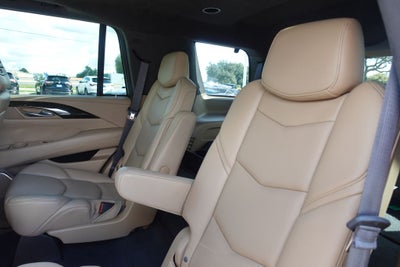 2019 Cadillac Escalade Platinum Edition