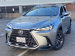 2022 Lexus NX 350 Premium