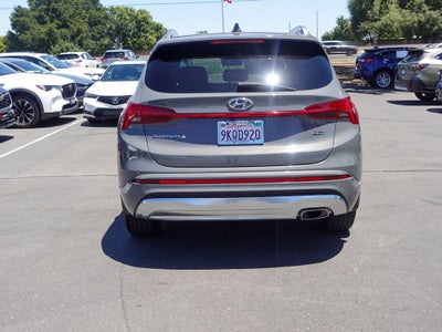 2023 Hyundai Santa Fe Calligraphy