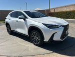 2024 Lexus NX 250 Base
