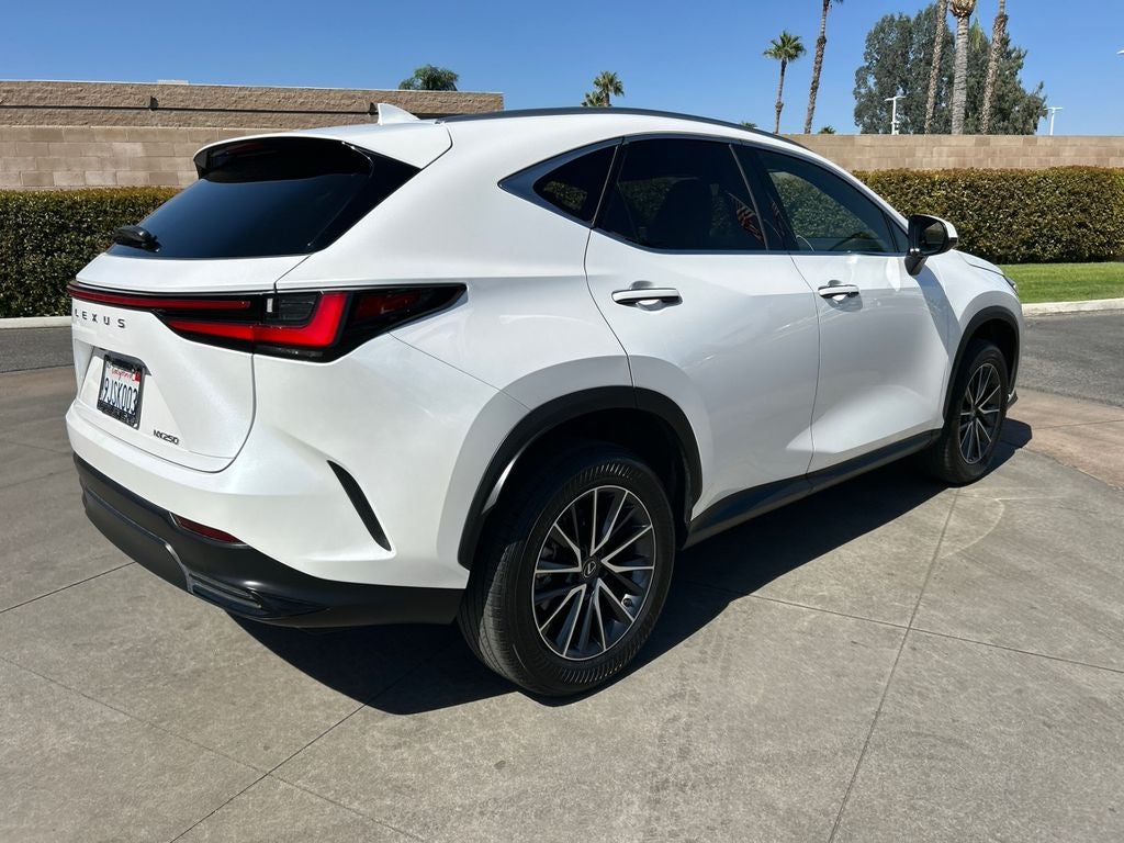 2024 Lexus NX 250 Base