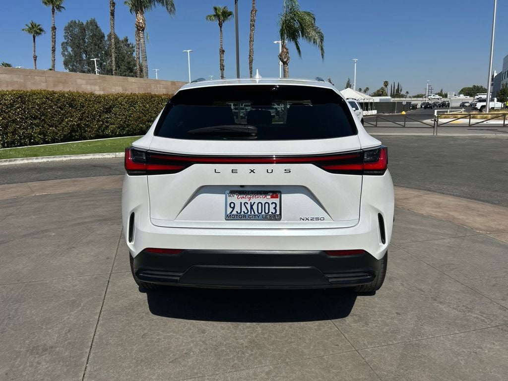 2024 Lexus NX 250 Base