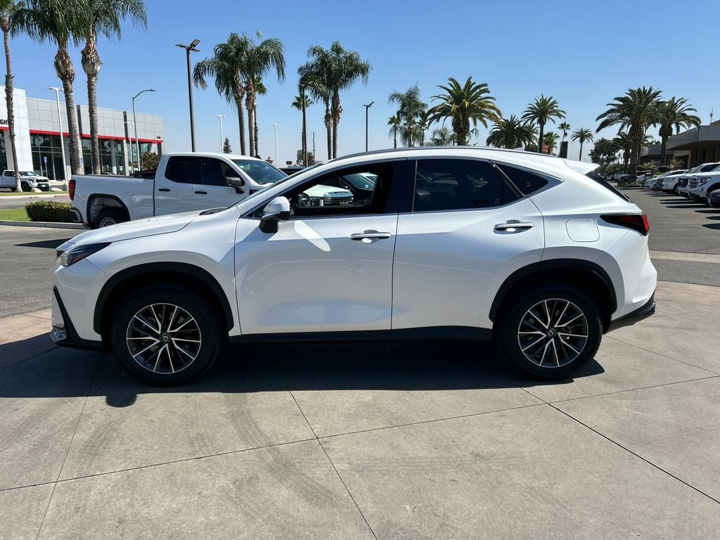 2024 Lexus NX 250 Base