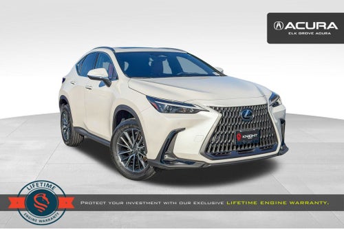 2024 Lexus NX 350h Premium