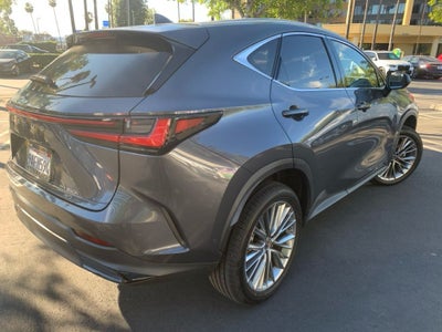 2022 Lexus NX 350h Luxury