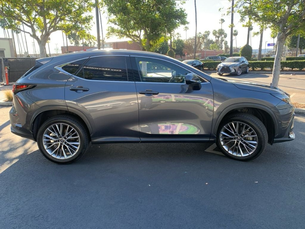 2022 Lexus NX 350h Luxury