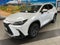 2022 Lexus NX 250 Base