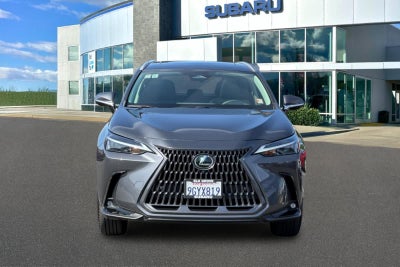 2024 Lexus NX 350h Premium