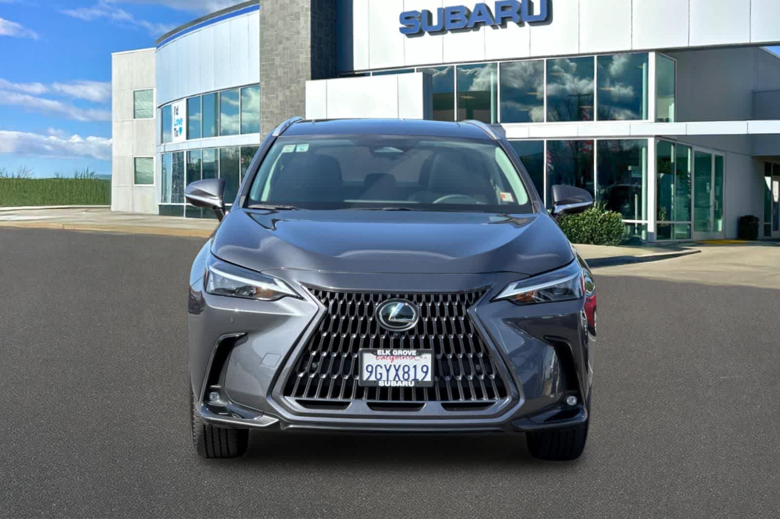 2024 Lexus NX 350h Premium