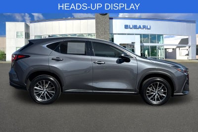 2024 Lexus NX 350h Premium