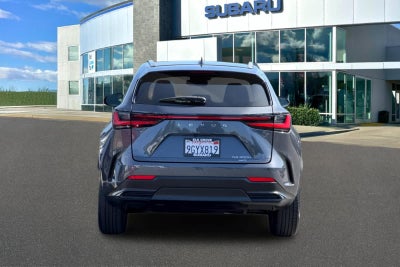 2024 Lexus NX 350h Premium