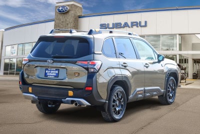 2026 Subaru Forester Wilderness