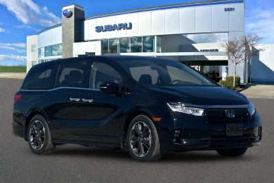 2024 Honda Odyssey Elite