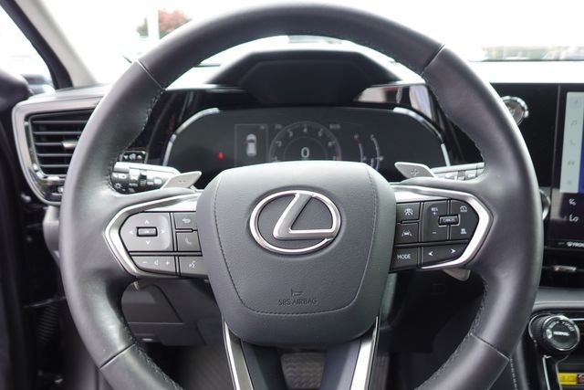 2022 Lexus NX 250 Premium