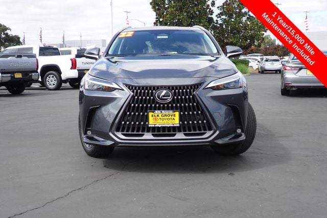2022 Lexus NX 250 Premium