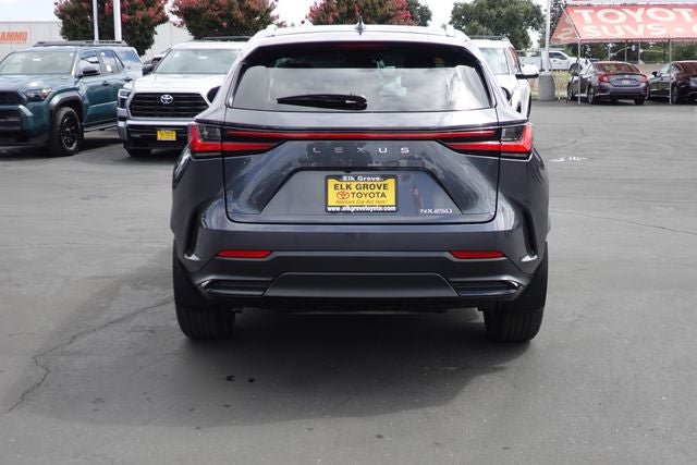 2022 Lexus NX 250 Premium