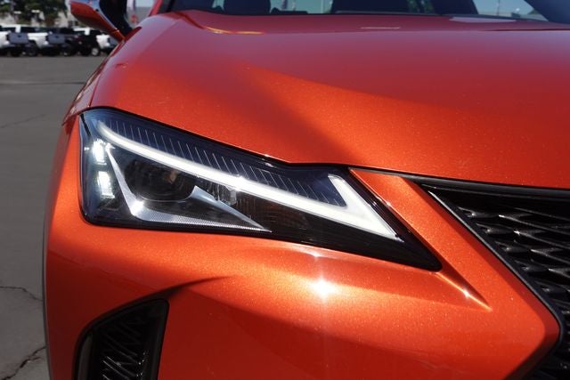 2019 Lexus UX 250h F SPORT