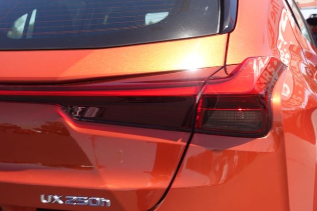 2019 Lexus UX 250h F SPORT