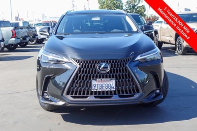 2025 Lexus NX 450h+ Luxury