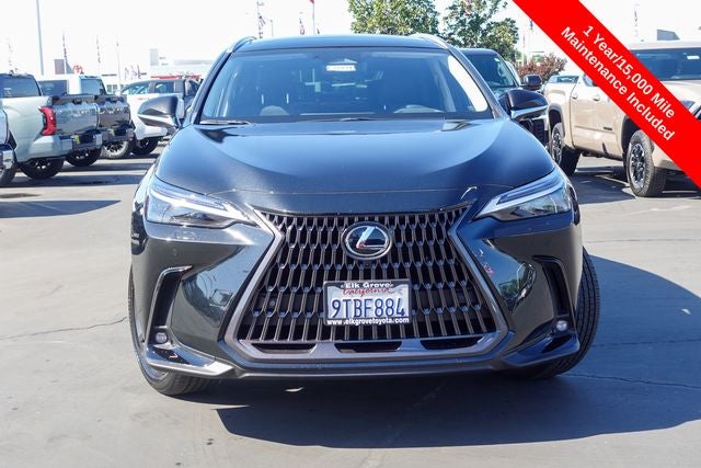 2025 Lexus NX 450h+ Luxury