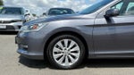 2013 Honda Accord Sdn EX-L
