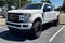 2019 Ford Super Duty F-250 SRW Platinum