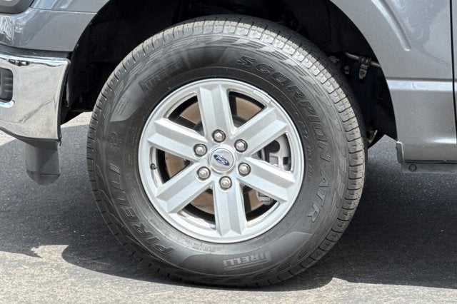 2025 Ford F-150 XL Hybrid