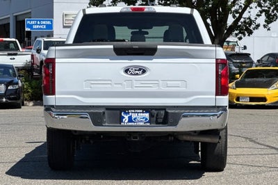 2025 Ford F-150 XL Hybrid
