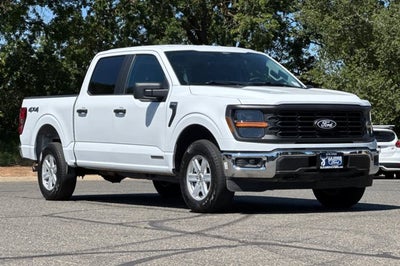 2025 Ford F-150 XL Hybrid