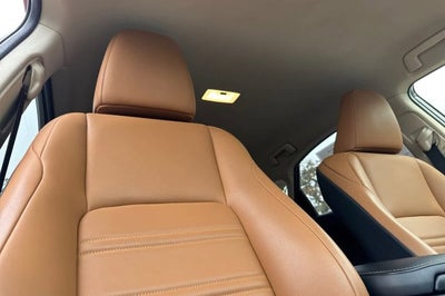 2020 Lexus NX NX 300h