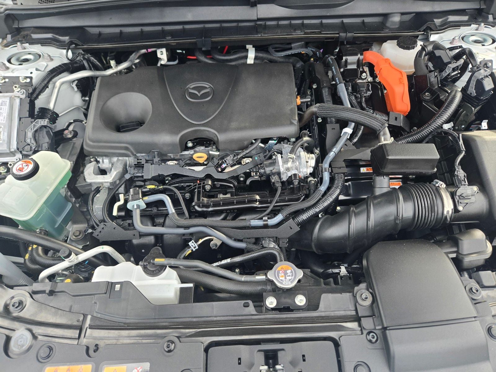 2025 Mazda Mazda CX-50 Hybrid Premium Plus