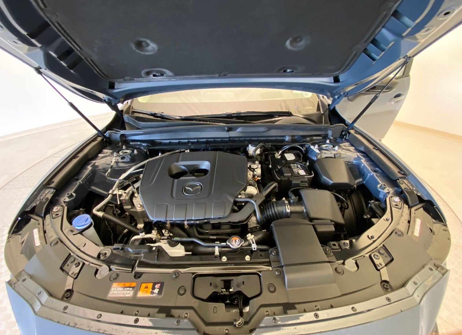 2025 Mazda Mazda CX-50 2.5 S Premium Plus Package