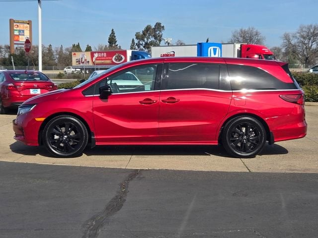 2024 Honda Odyssey Sport