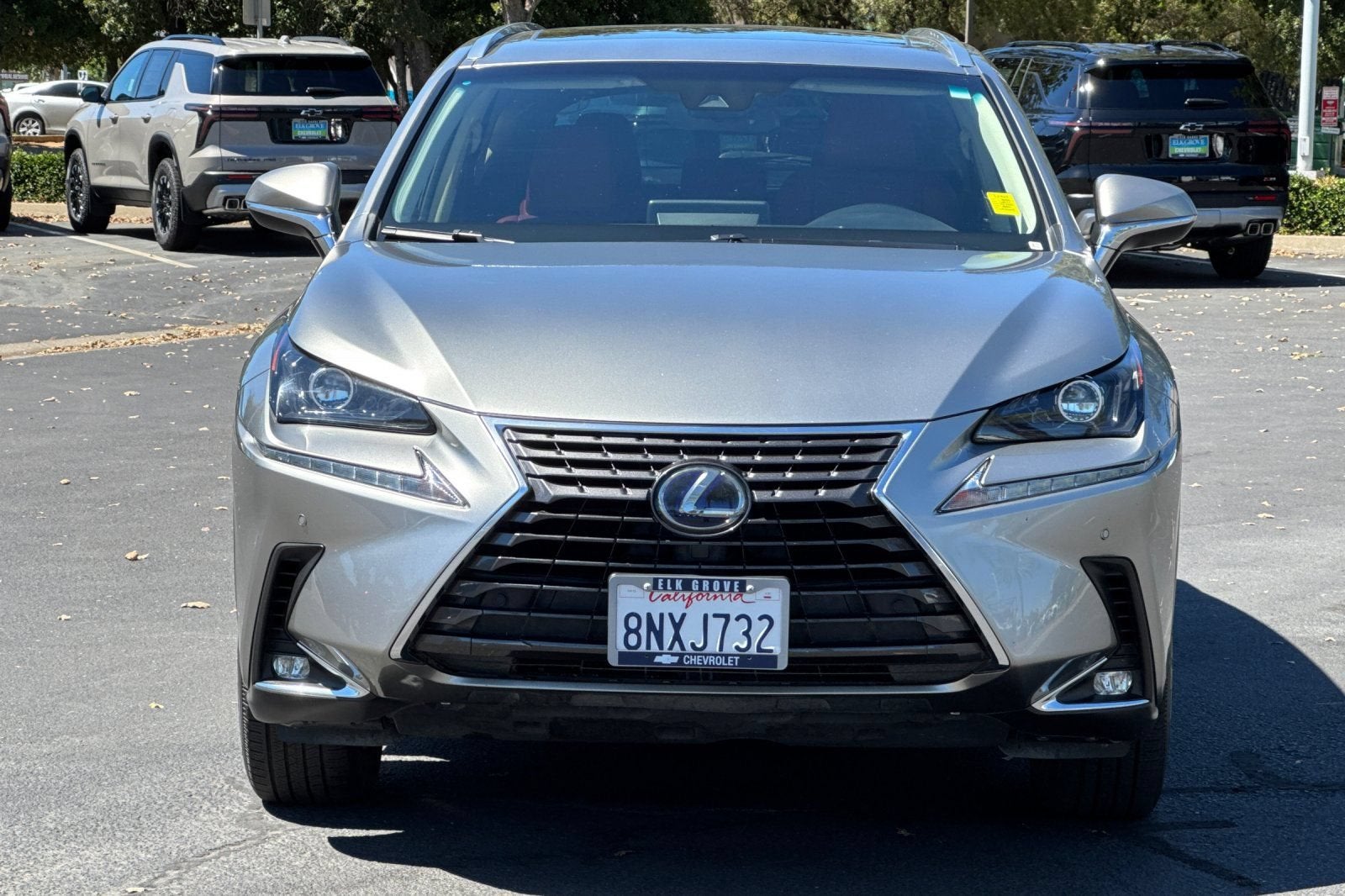 2020 Lexus NX 300h NX 300h